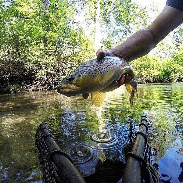 GoPro Fishing Net